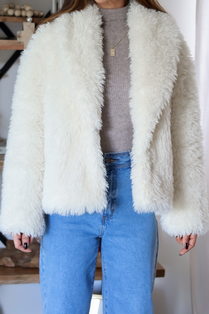 Teddy Coat Jacket- 2 Colors