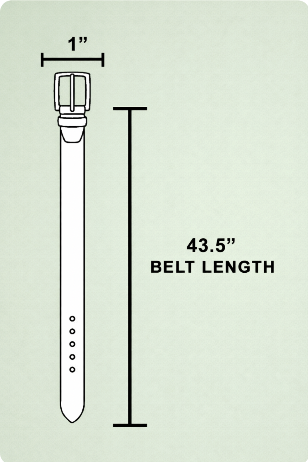 Studded Belt - 2 Colors