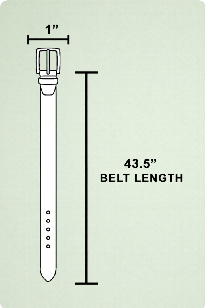 Studded Belt - 2 Colors