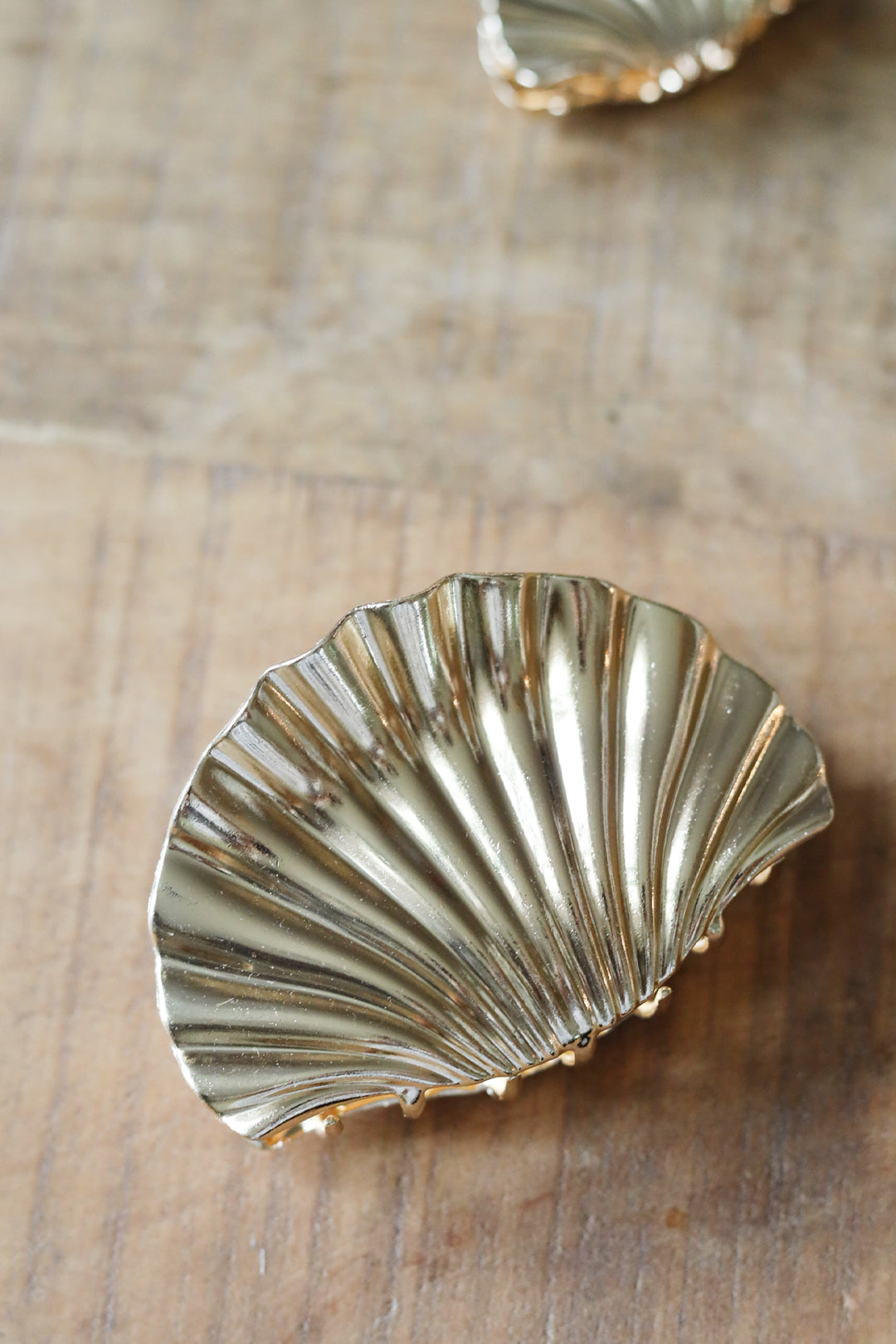 Coastal Charm Claw Clip