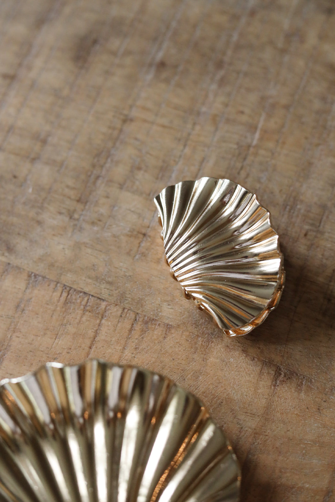 Coastal Charm Claw Clip